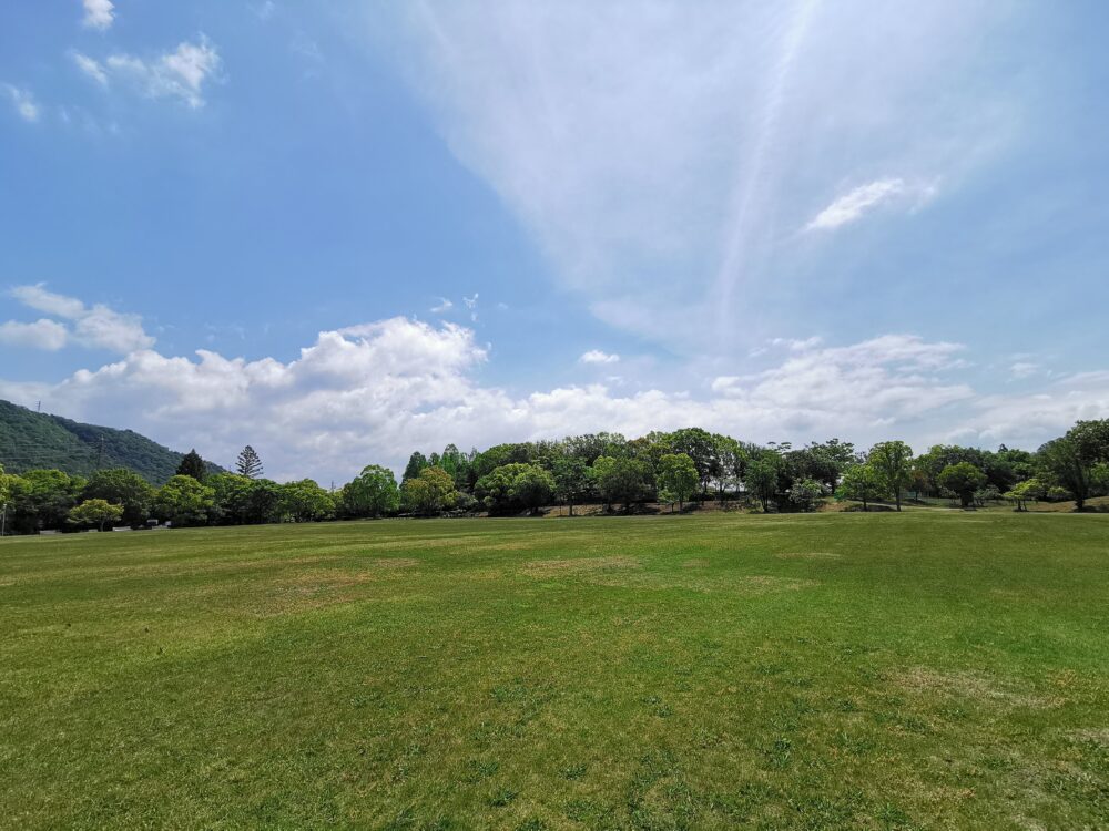 播磨中央公園芝生広場